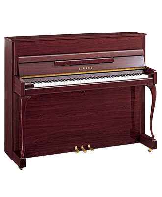 Yamaha JX113 PM